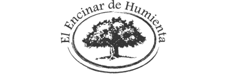 Eñ encinar de Humienta