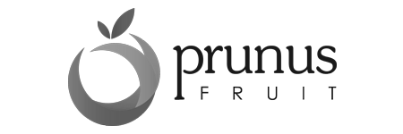 prunus fruit